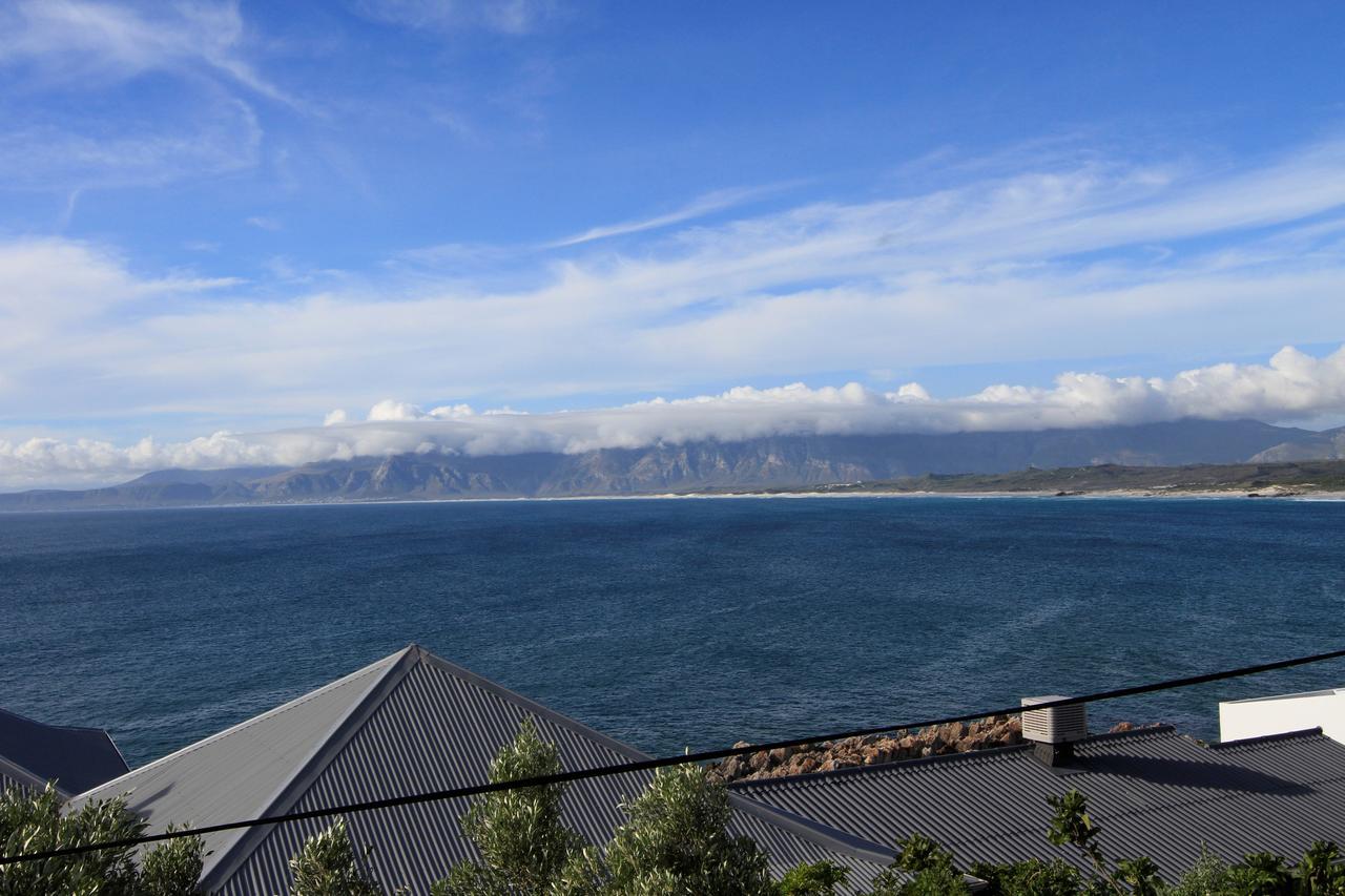 Amazing Grace B&B Gansbaai Dış mekan fotoğraf